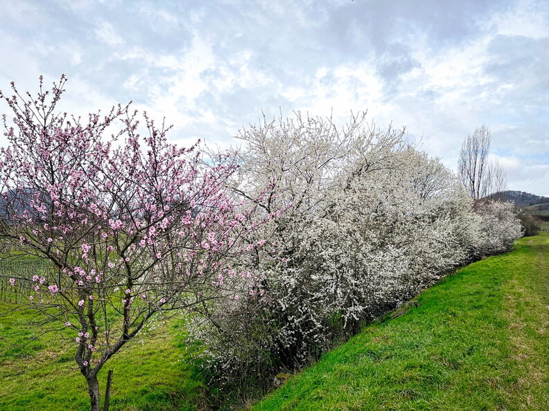 23-03-13 10-51-39 4828